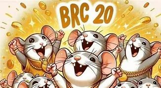 如何獲取Rats幣？