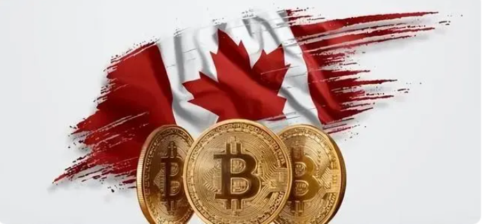 2024年,加密货币值得布局的赛道,以及其代表!