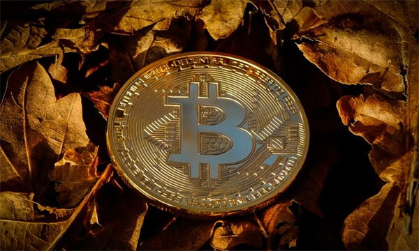 比特幣銘文是什麼 比特幣銘文有什麼用