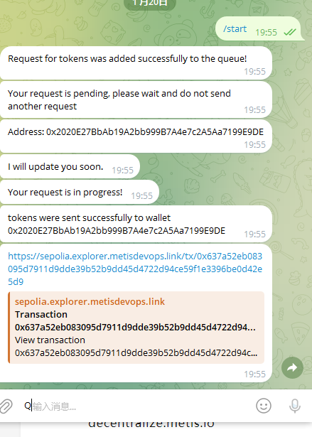 Metis测试网教程